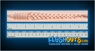 Bliss Texture Dimensions and Canal Length