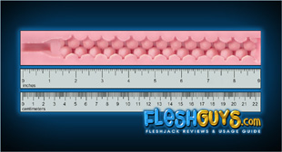 Stamina Texture Dimensions and Canal Length