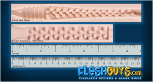 The Fang Texture Dimensions and Canal Length